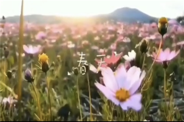 9.png